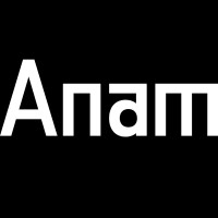 Anam AI logo